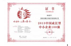 中國中小企業(yè)100強(qiáng)（成長型）